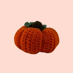 ZUCCA DI LANA FATTA A MANO